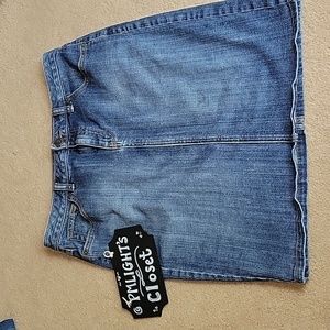 Lands' End Denim Skirt 6P Mini Blue